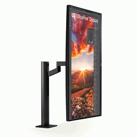 LG 31.5 inch UHD 4K Ergo IPS Monitor with USB-C (32UN880K) LG 31.5 inch UHD 4K Ergo IPS Monitor with USB-C (32UN880K)