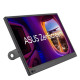 ASUS ZenScreen MB169CK 16 inch Portable USB Monitor