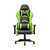 Ant Esports Premium Gaming Chair 9077 Black Green