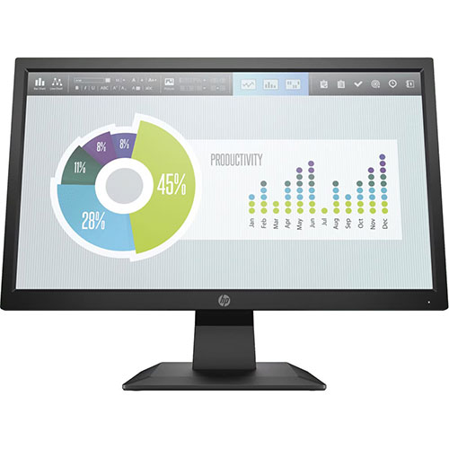 HP P204v 19.5 inch Monitor (5RD66AA)