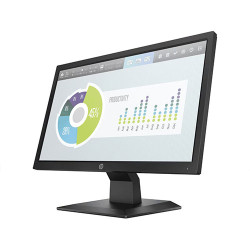 HP P204v 19.5 inch Monitor (5RD66AA)