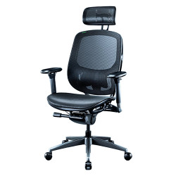 Razer Fujin Pro Ergonomic Mesh Gaming Chair Black (RZ38-04940100-R3U1)