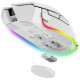 Razer Basilisk V3 Pro 35K Wireless Ergonomic RGB Gaming Mouse White (RZ01-05240200-R3A1) Razer Basilisk V3 Pro 35K Wireless Ergonomic RGB Gaming Mouse White (RZ01-05240200-R3A1)