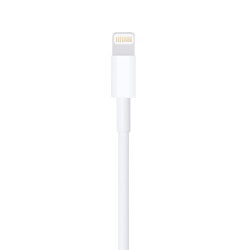 Apple Lightning to USB Cable - 0.5M (ME291ZM-A) Apple Lightning to USB Cable - 0.5M (ME291ZM-A)