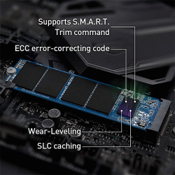 Teamgroup MP33 PRO 1TB M.2 PCIe Gen3 SSD (TM8FPD001T0C101) Teamgroup MP33 PRO 1TB M.2 PCIe Gen3 SSD (TM8FPD001T0C101)