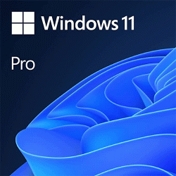 Microsoft Windows 11 Pro 64-bit - OEM Microsoft Windows 11 Pro 64-bit - OEM