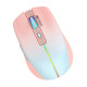 Ant Esports GM400W RGB Wireless Gaming Mouse (Rose Fog - Mabel) Ant Esports GM400W RGB Wireless Gaming Mouse (Rose Fog - Mabel)