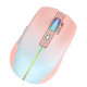 Ant Esports GM400W RGB Wireless Gaming Mouse (Rose Fog - Mabel) Ant Esports GM400W RGB Wireless Gaming Mouse (Rose Fog - Mabel)