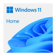 Microsoft Windows 11 Home Edition