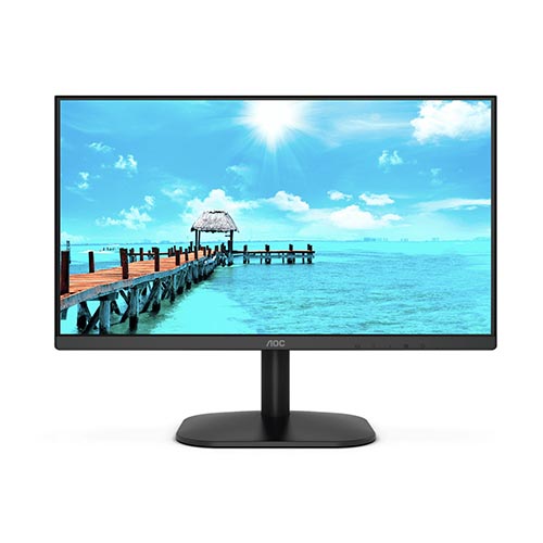 monitor (21.5in va)