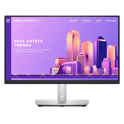 fhd-monitor [P2222H] (22in)