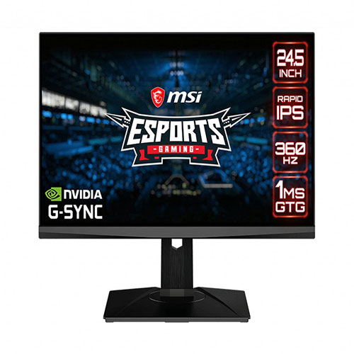 MSI monitor (24.5in gaming)