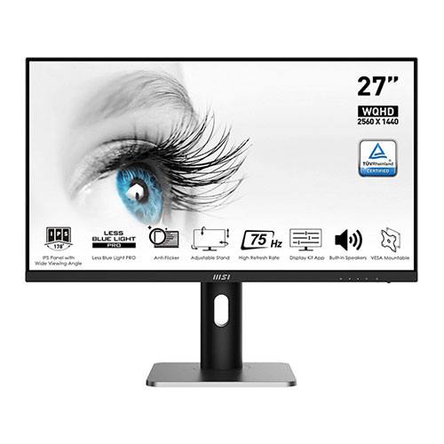 MSI monitor (27in)