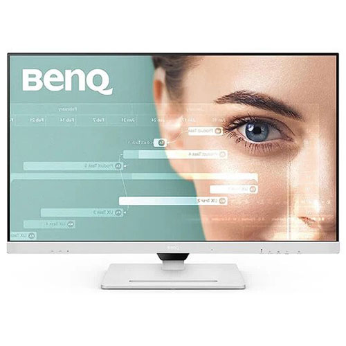 qhd-monitor (31.5in)