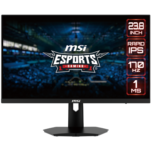 MSI monitor [G244F] (23.8in gaming)