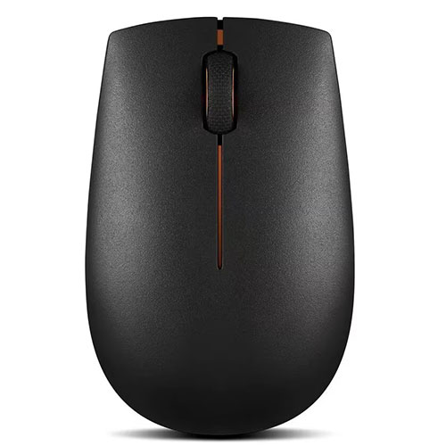 mouse (wireless)