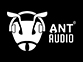 AntAudio
