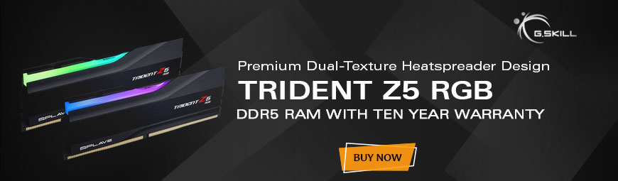 G.skill Trident Z5 RGB 32GB (2x16GB) DDR5 6600 Desktop RAM - Black (F5-6600J3440G16GX2-TZ5RK)