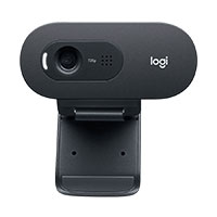 Logitech C505 HD Webcam (960-001370)