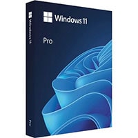Microsoft Windows 11 Pro 64-Bit FPP USB