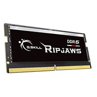 G.skill Ripjaws 16GB (1x16GB) DDR5 4800 CL40 SO-DIMM Laptop RAM (F5-4800S4039A16GX1-RS)