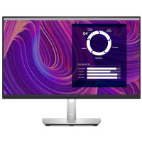 Dell 24 inch QHD IPS Monitor (P2423D)