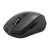 TVSE WM 416 Wireless Mouse