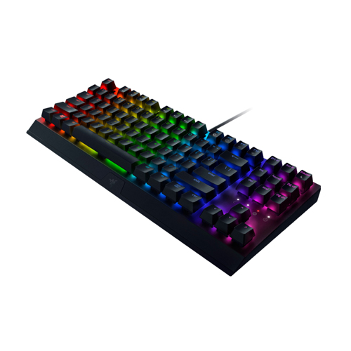 Razer BlackWidow V3 Tenkeyless Mechanical Gaming Keyboard (RZ03-03490100-R3M1)