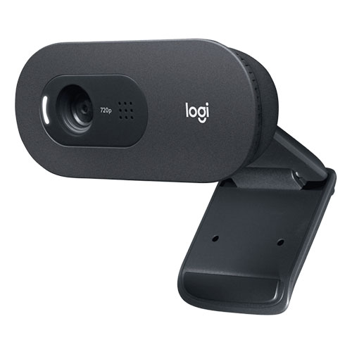 Logitech C505 HD Webcam (960-001370)