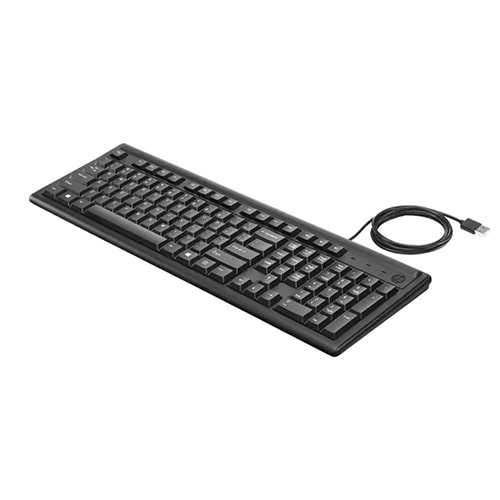 HP USB Wired Keyboard 100