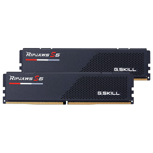 G.Skill Ripjaws S5 32GB (2x16GB) DDR5 5200MHz (F5-5200J4040A16GX2-RS5K)