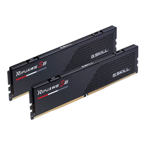 G.Skill Ripjaws S5 32GB (16GBX2) DDR5 5600MHZ CL40 (F5-5600J4040C16GX2-RS5K)